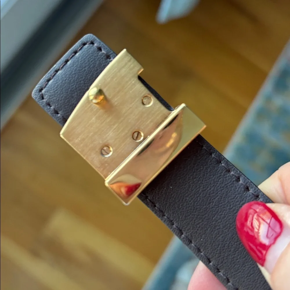 Louis Vuitton Damier Ebene Skinny Belt